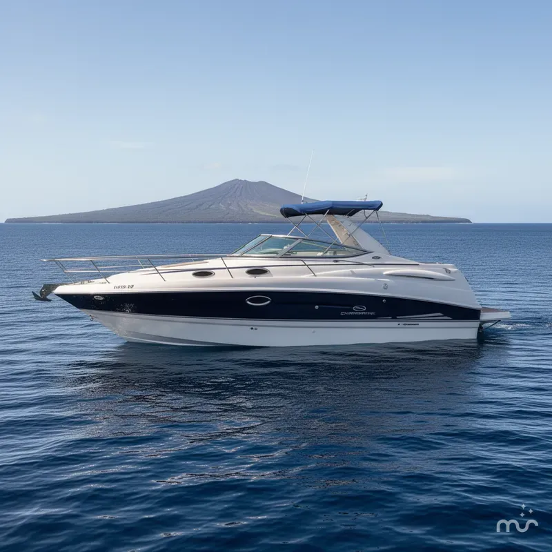 Slide: The Image of Chaparral Signature 240 2005 - 2