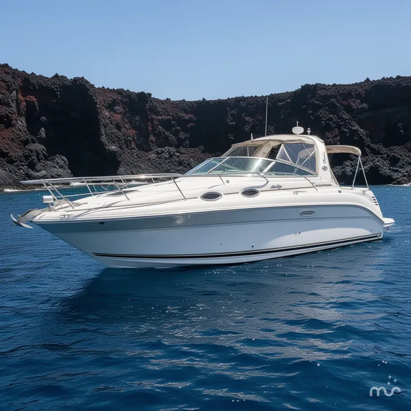 Slide: The Image of Sea Ray Sundancer 260 2000 - 2
