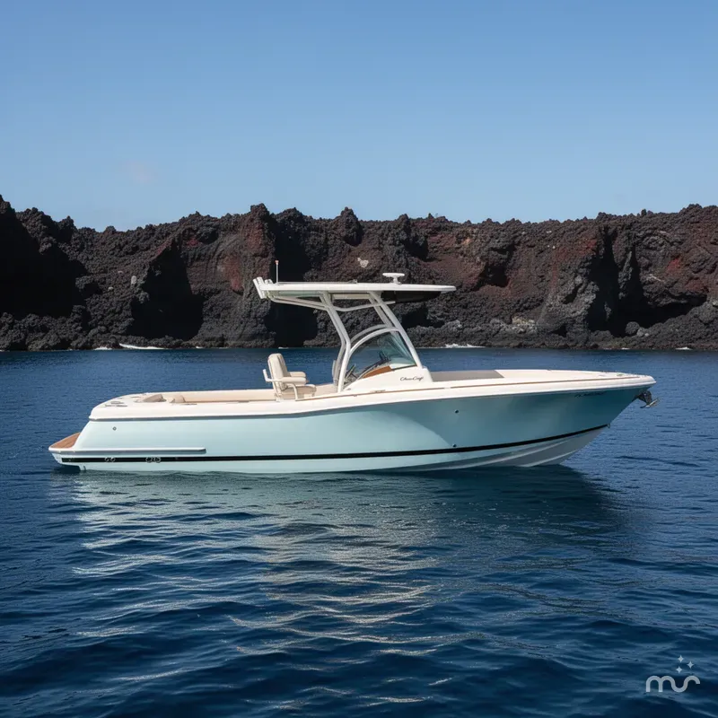 Slide: The Image of Chris-Craft Catalina 29 2010 - 2