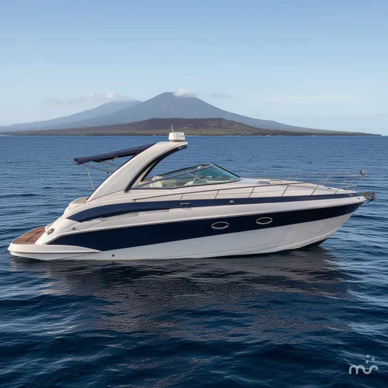The Image of Crowline 320cr 2009 - 0