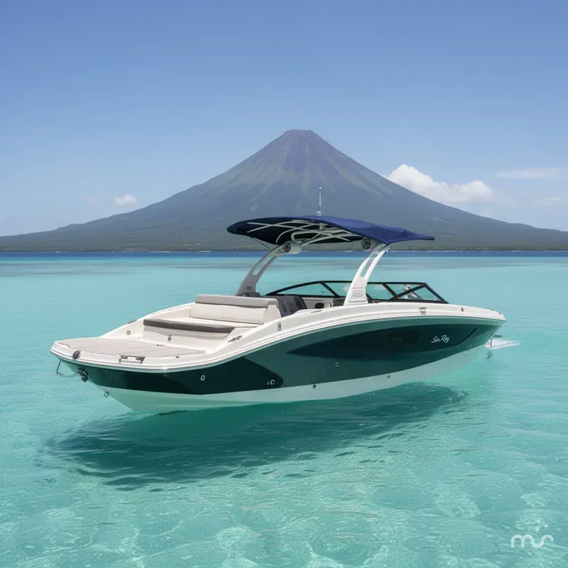 The Image of Sea Ray SDX 270 2017 - 0