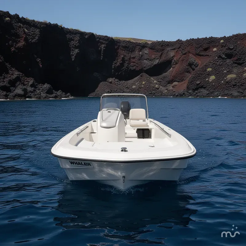 Slide: The Image of Boston Whaler 13 Sport 2019 - 3