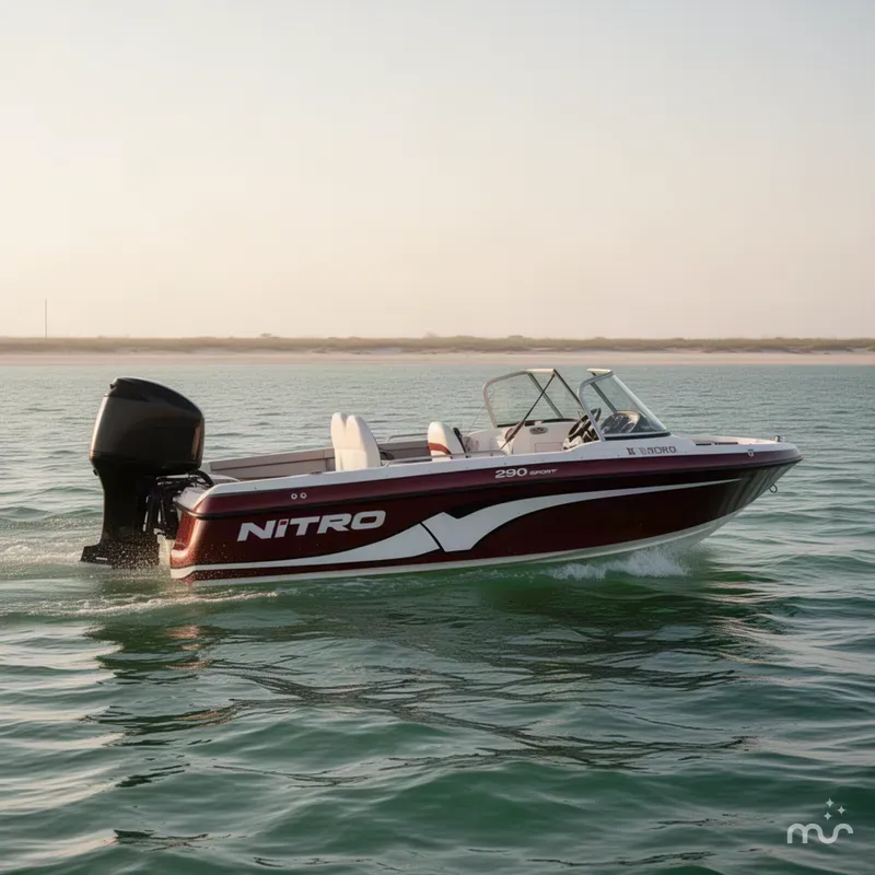 The Image of Nitro 290 Sport 2013 - 0
