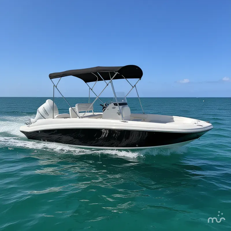 The Image of Stingray 186 CC 2021 - 0