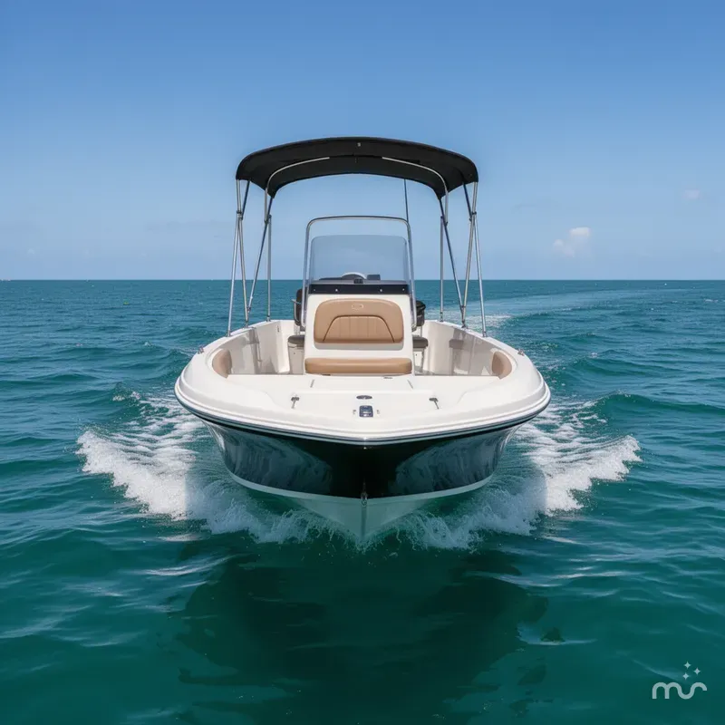 Slide: The Image of Stingray 186 CC 2021 - 3