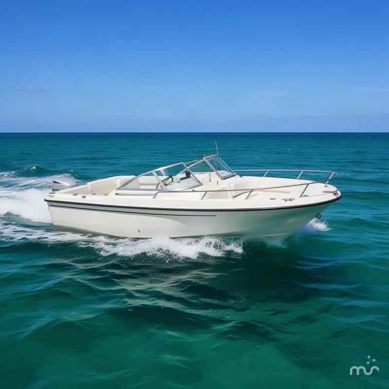 The Image of Boston Whaler 20 Ventura Bowrider 1998 - 0