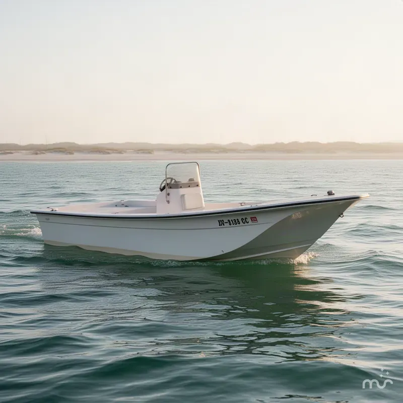 The Image of Carolina JVX18CC 2011 - 0