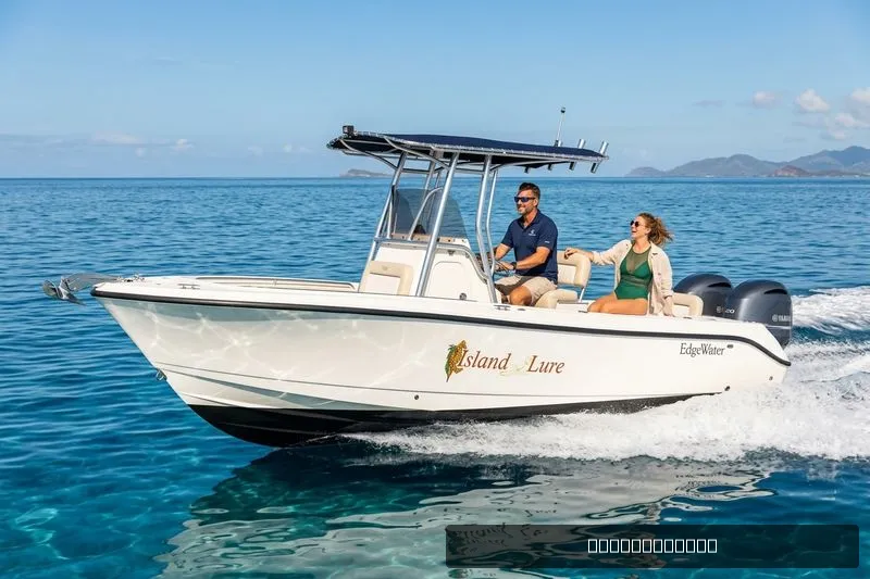 The Image of Edgewater 245CC 2006 - 0