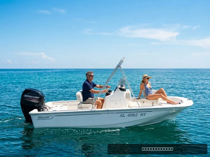 The Image of Boston Whaler 150 Montauk 2023 - undefined