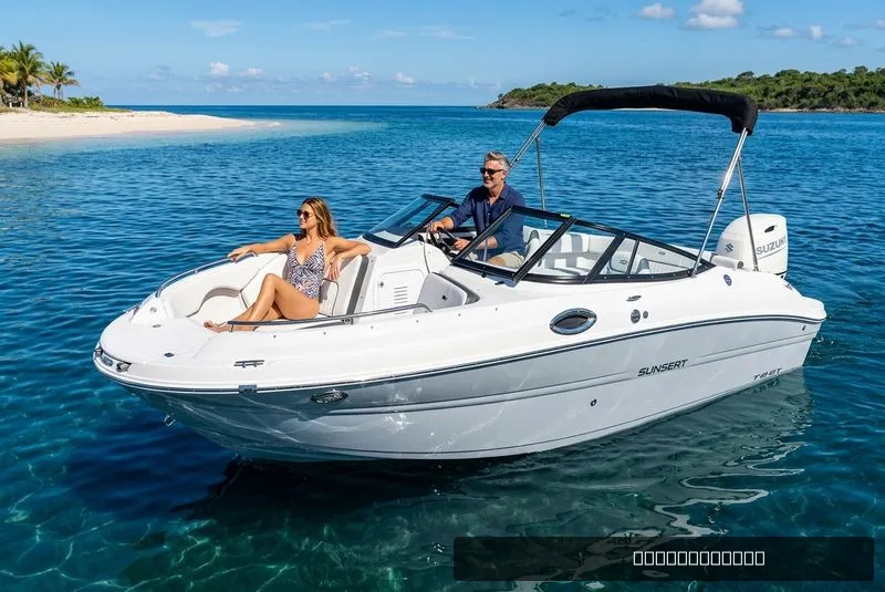 The Image of Stingray 211DC 2026 - 0