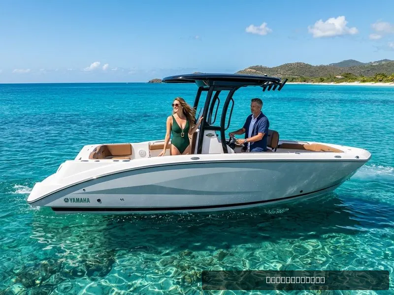 The Image of Yamaha 255 FSH Sport H 2026 - 0