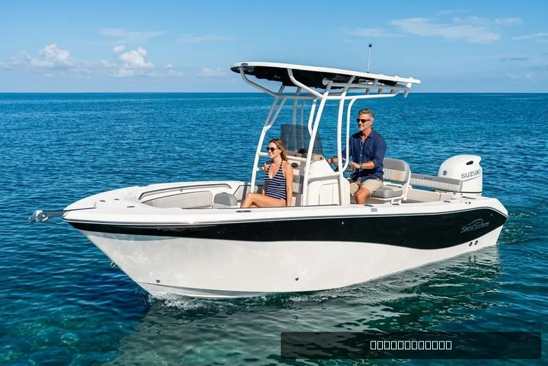 The Image of Sea Chaser 22 HFC 2023 - 0