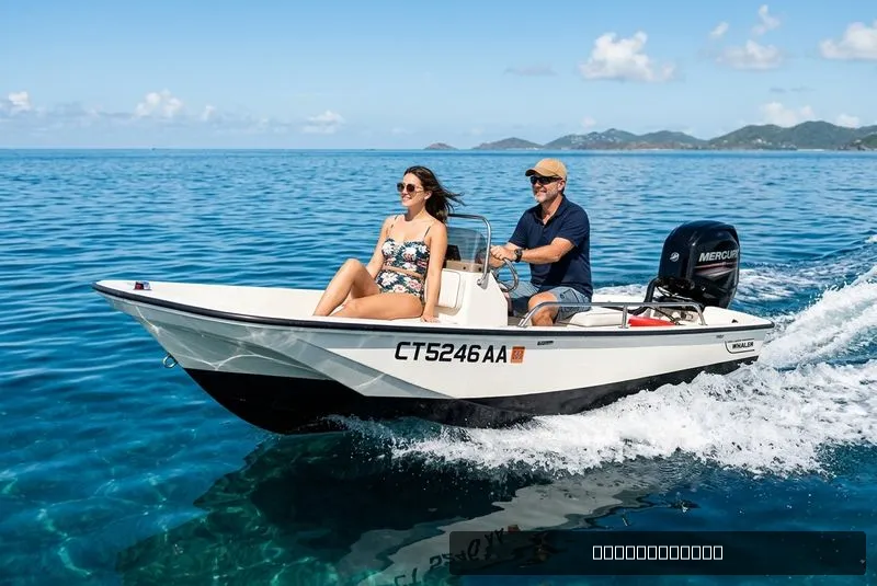 The Image of Boston Whaler 13 Sport 1980 - 0