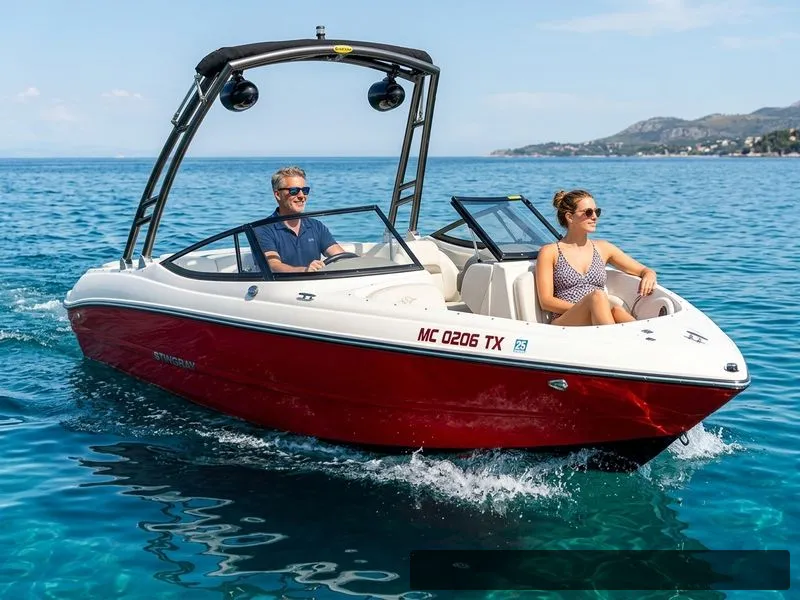 The Image of Stingray 225LR 2015 - 0