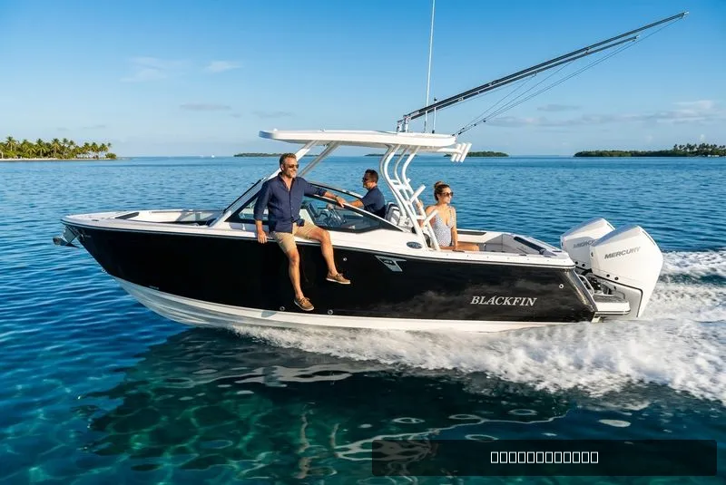 The Image of Blackfin 272DC 2024 - 0