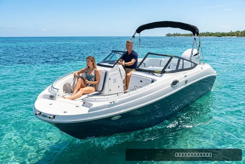 The Image of Stingray 231DC 2026 - 0