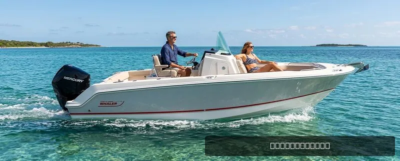 The Image of Boston Whaler 250 Outrage 2026 - 0