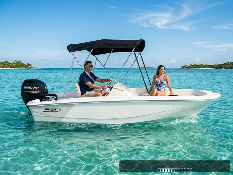 The Image of Boston Whaler 16 SUPER SPORT 2021 - 0