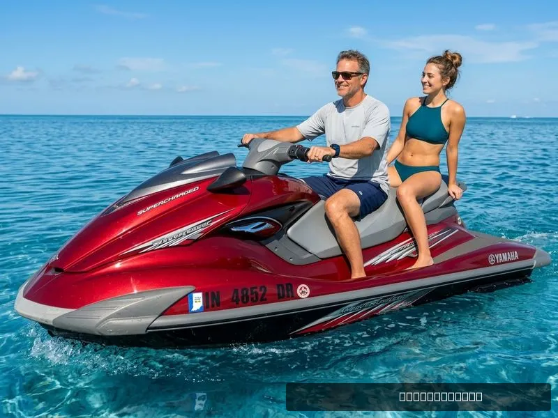 The Image of Yamaha FZS 2009 - 0