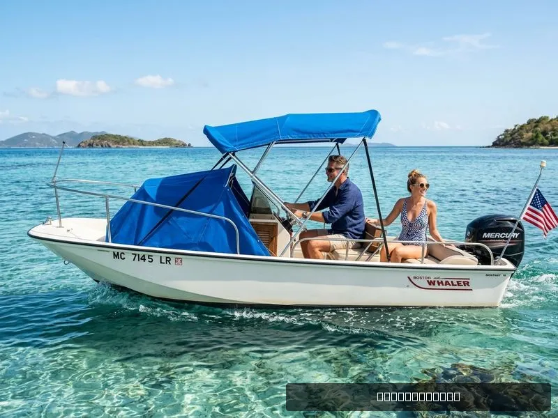 The Image of Boston Whaler 17 Montauk 1981 - 0