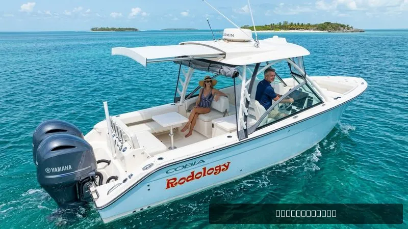 The Image of Cobia 280 DC 2022 - 0