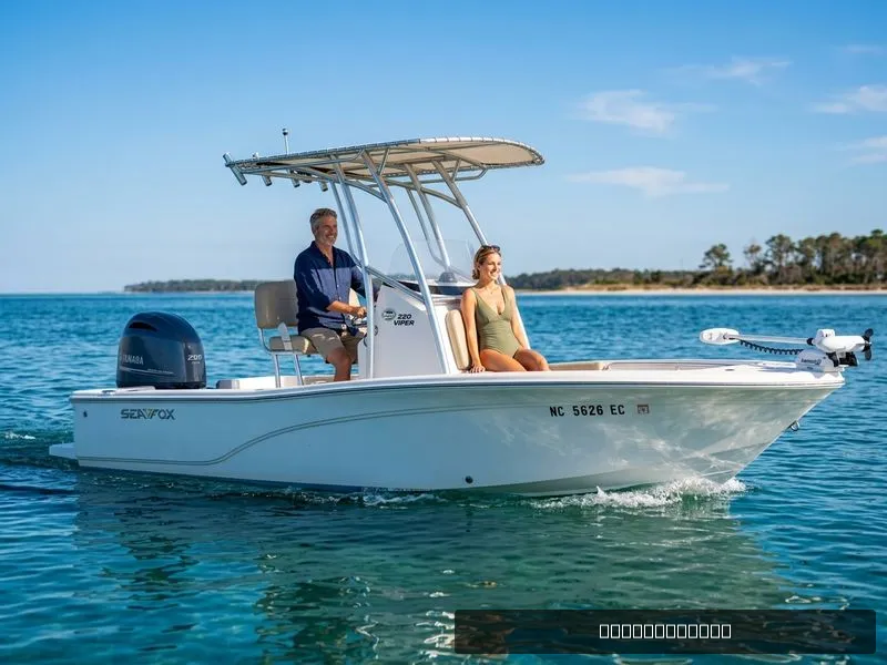 The Image of Sea Fox 220 Viper 2017 - undefined