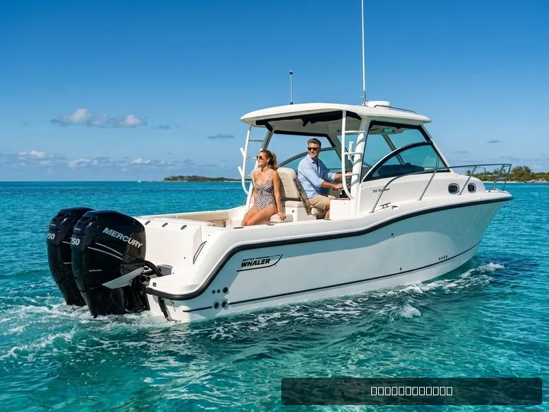 The Image of Boston Whaler 315 Conquest 2016 - 0