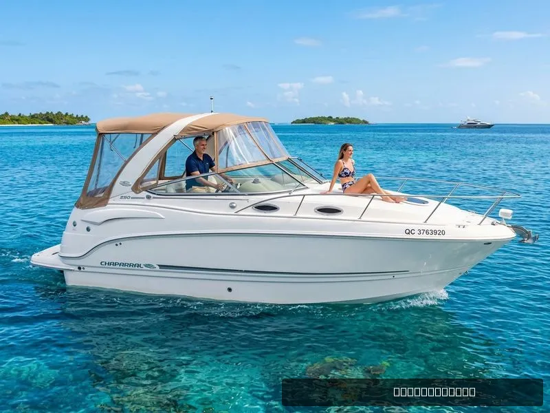 The Image of Chaparral 290 Signature 2013 - 0