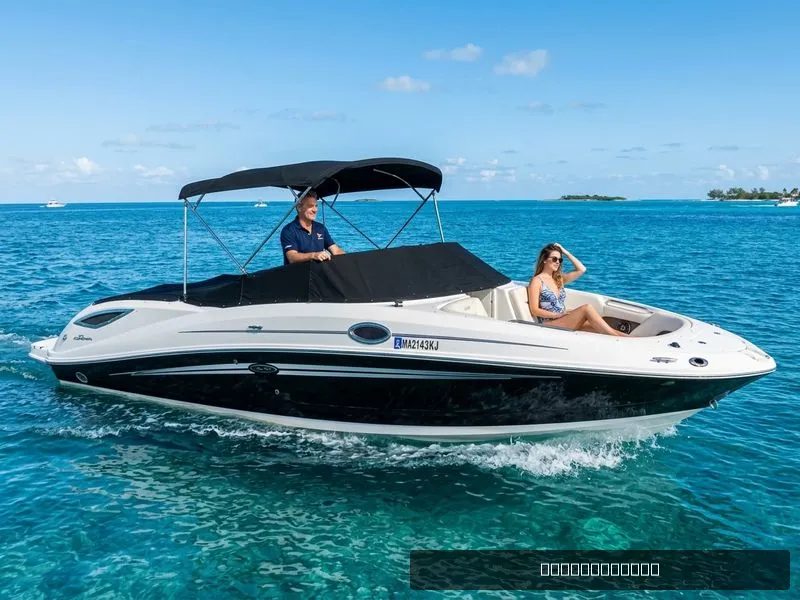 The Image of Sea Ray 300 Sundeck 2013 - 0