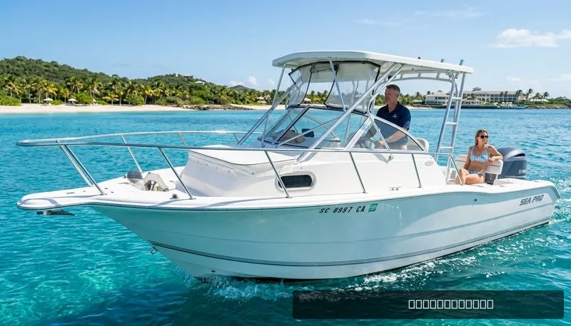 The Image of Sea Pro 238WA 2004 - 0