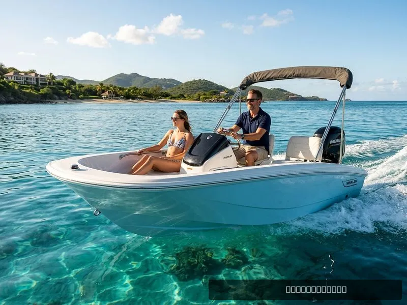 The Image of Boston Whaler 13 2024 - 0