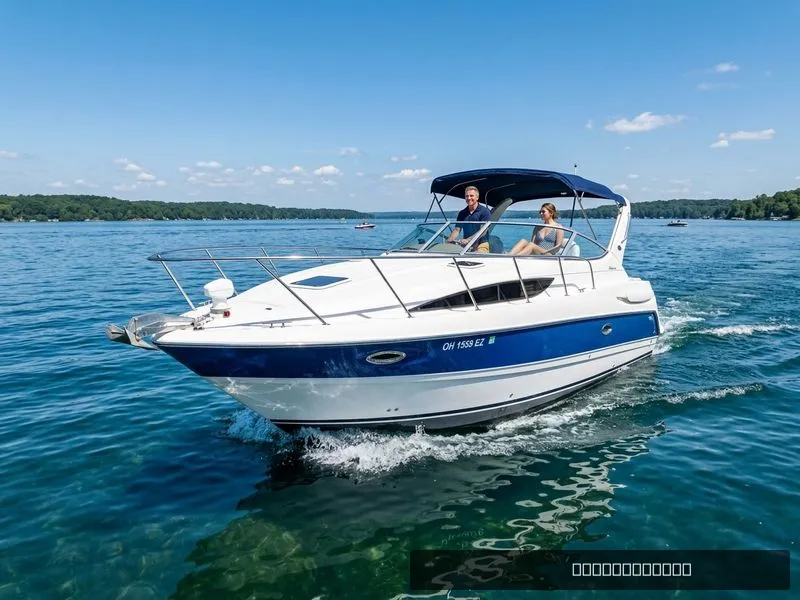 The Image of Bayliner 305 2006 - 0