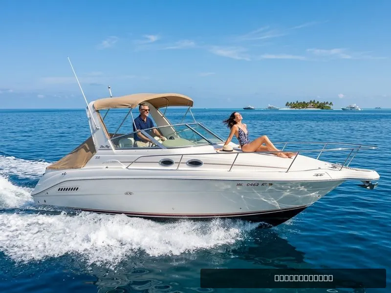 The Image of Sea Ray 300 SUNDANCER 1995 - 0