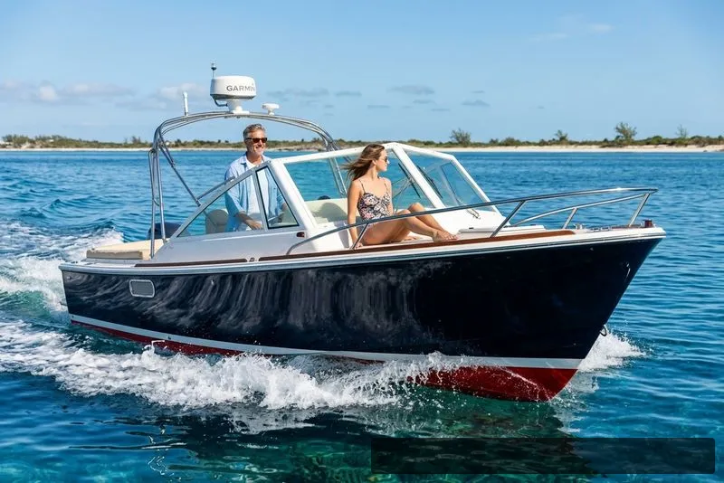 The Image of Hunt Harrier 25 2006 - 0