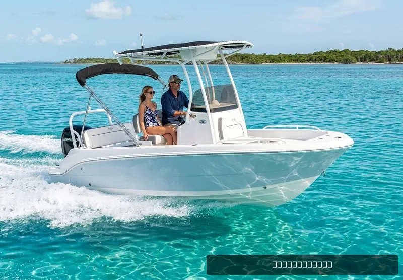 The Image of Stingray 173CC 2026 - 0