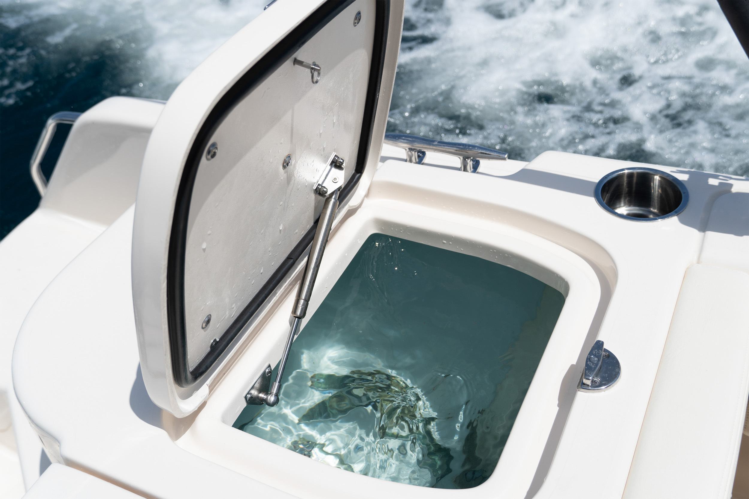 Slide: The Image of Grady-White Fisherman 257 2025 - 32