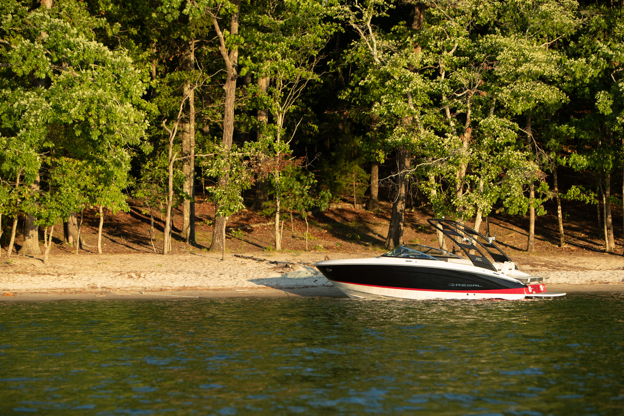Slide: The Image of Regal LS4 Surf 2027 - 8