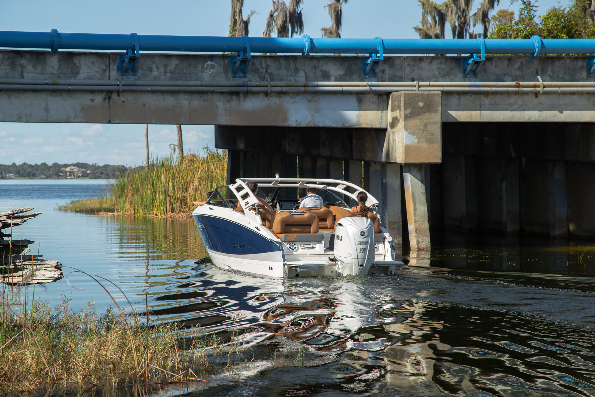 Slide: The Image of Regal LX4 2025 - 5