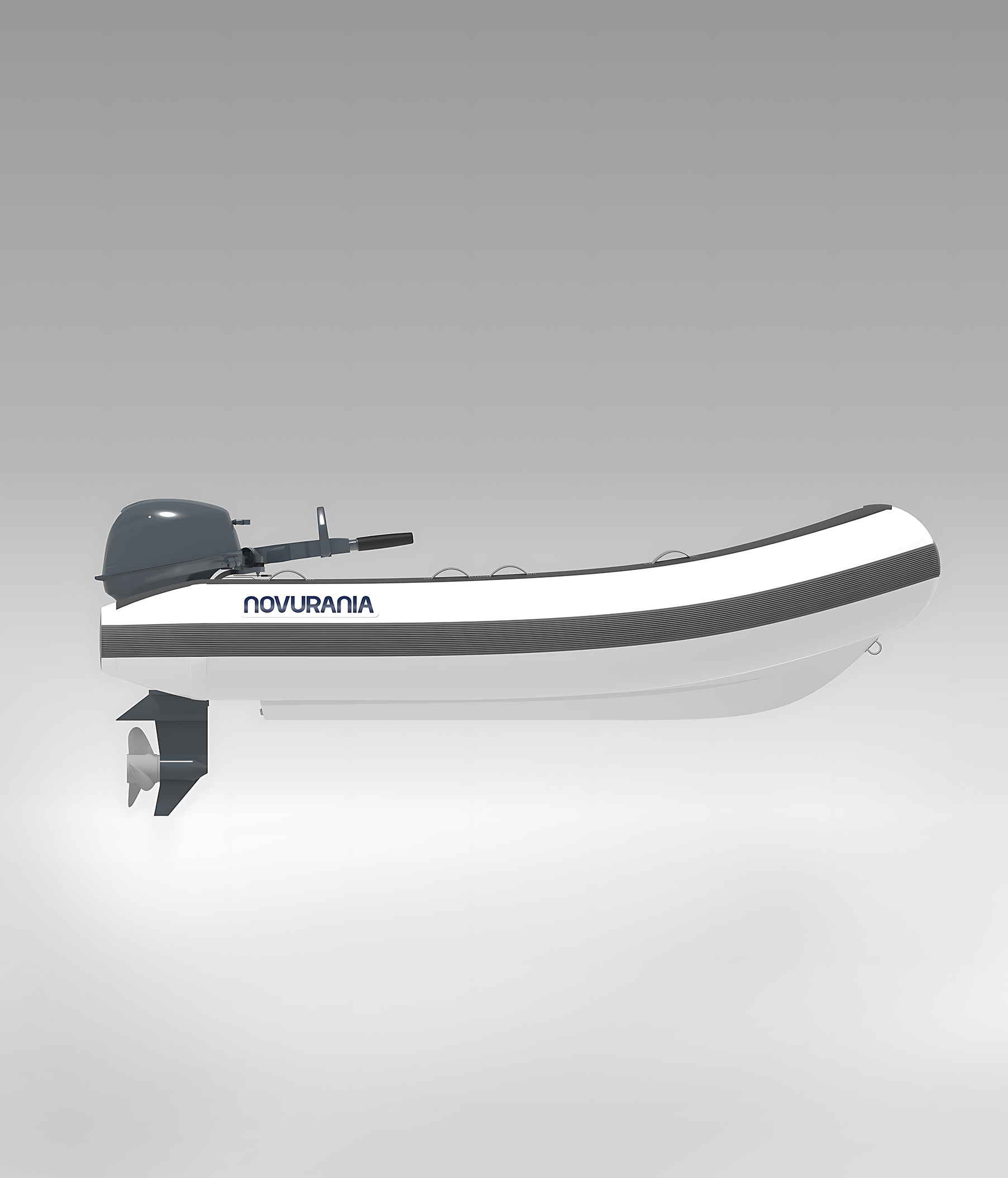 Slide: The Image of Novurania TR 270 2027 - 5