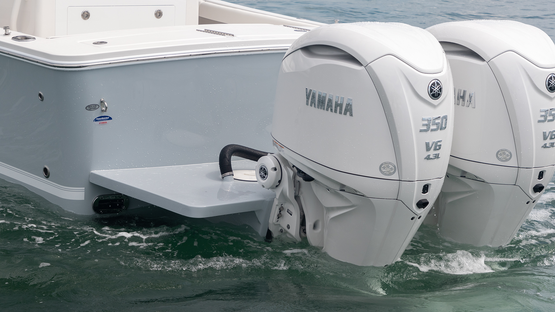 Slide: The Image of Regulator Marine 28 2027 - 11
