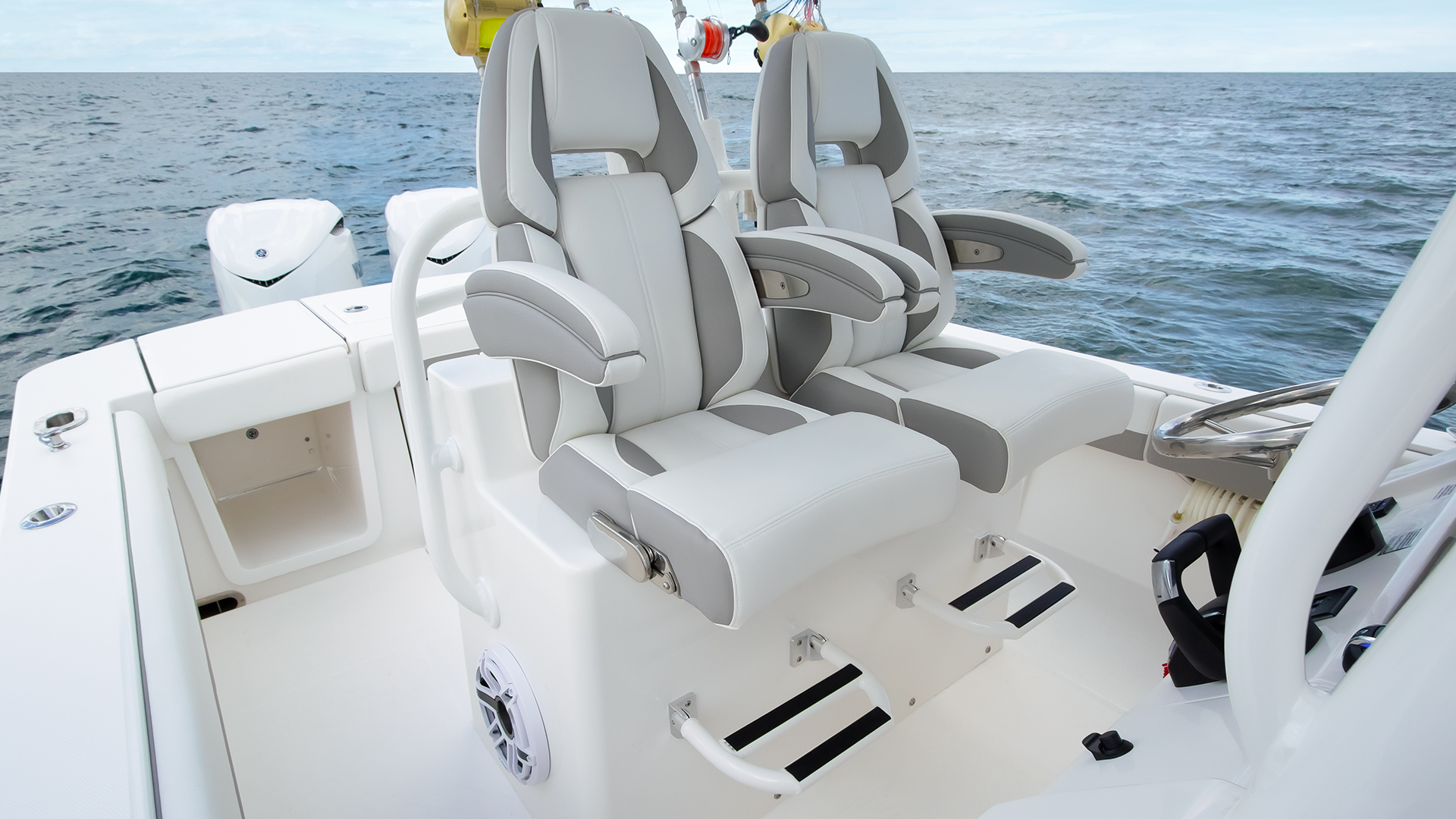 Slide: The Image of Regulator Marine 28 2027 - 17