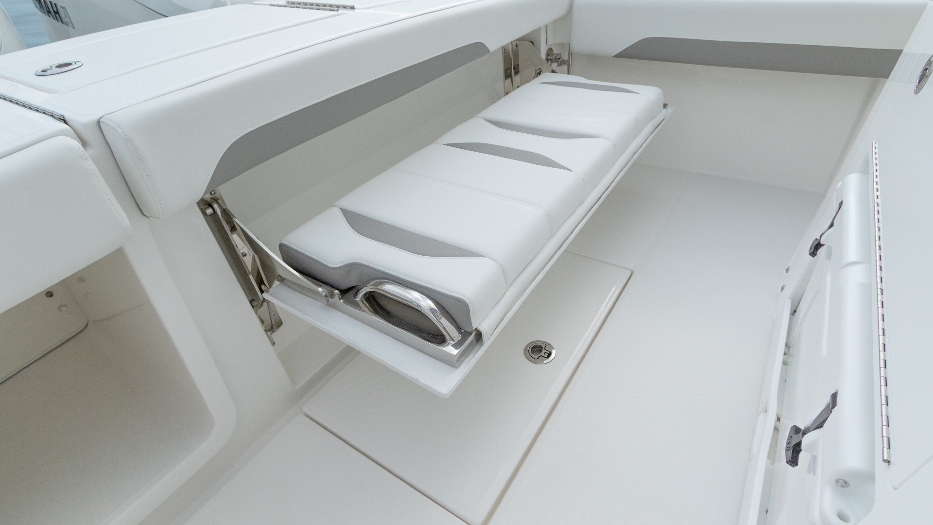 Slide: The Image of Regulator Marine 28 2027 - 27