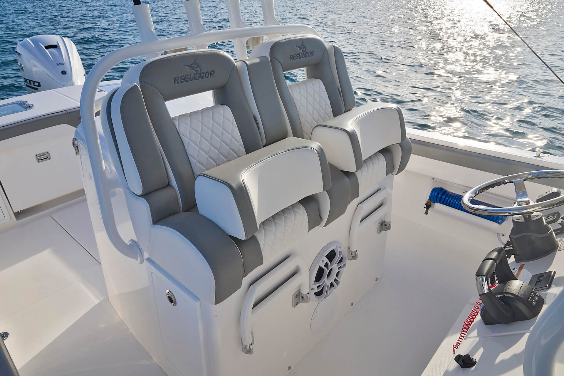 Slide: The Image of Regulator Marine 31 2026 - 19