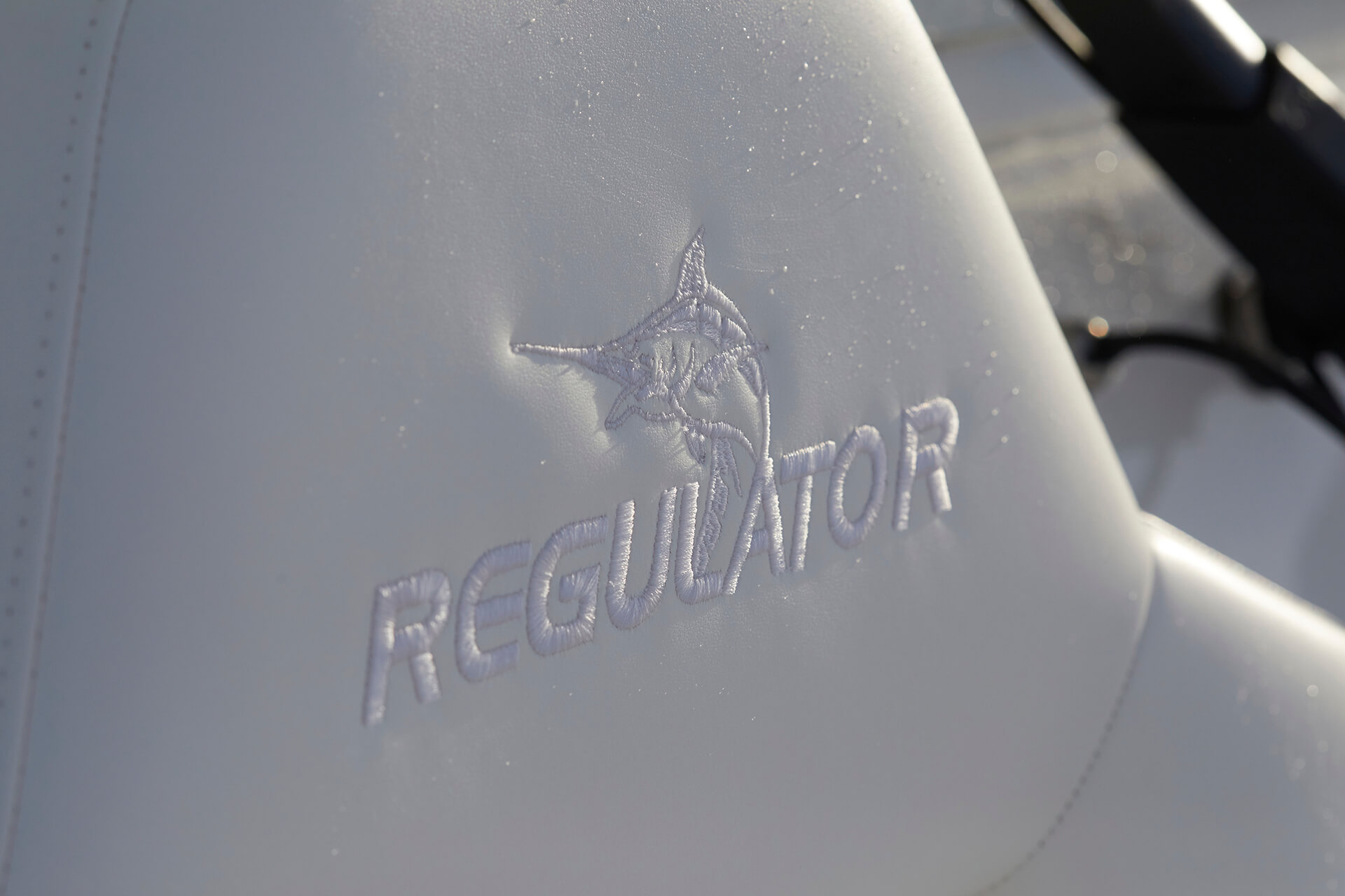 Slide: The Image of Regulator Marine 37 2026 - 27