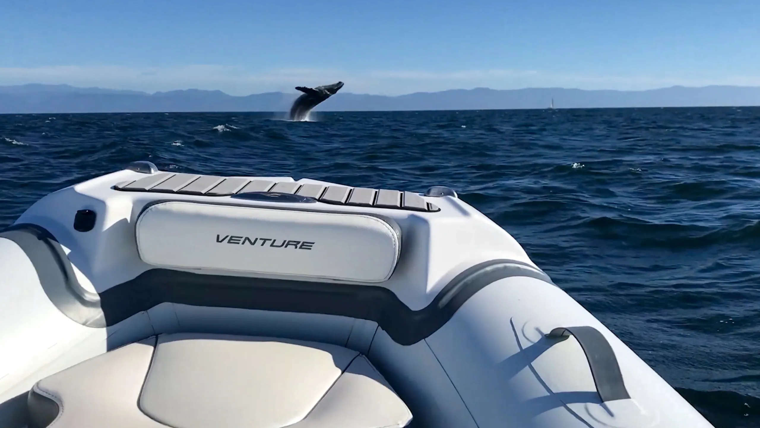 Slide: The Image of Walker Bay Venture 14 2027 - 5